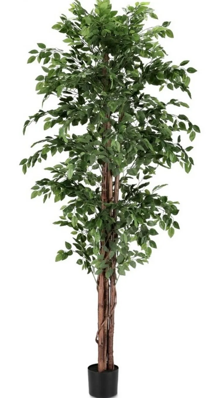 Bizzotto Piante Artificiali>PIANTA BANYAN C-VASO 2480FOGLIE H210