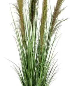 Bizzotto Piante Artificiali>PIANTA CARINE PAMPAS VERD MARR C-VA H145