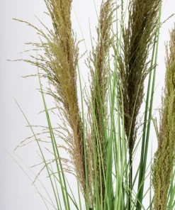 Bizzotto Piante Artificiali>PIANTA CARINE PAMPAS VERD MARR C-VA H145