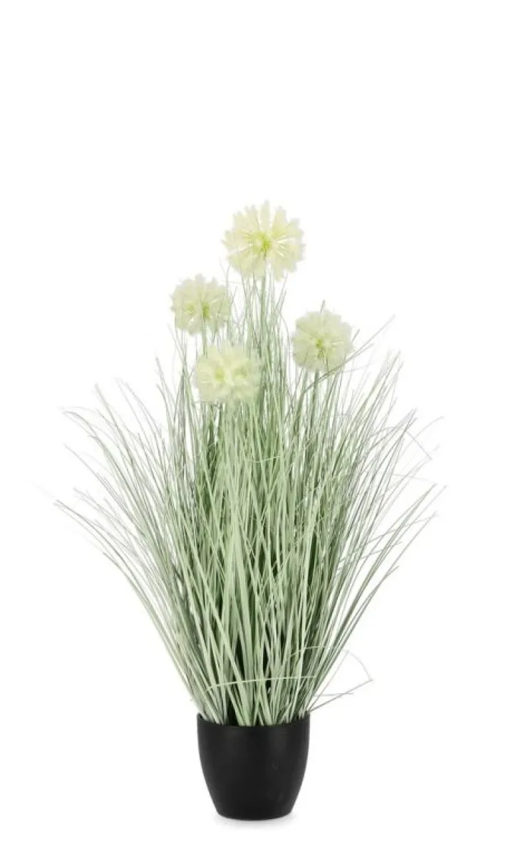 Bizzotto Piante Artificiali>PIANTA CEBOLLA BIANCO C-VASO X4F H75