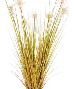 Bizzotto Piante Artificiali>PIANTA DESERTO PAGLIA C-VASO X7F H120