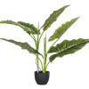 Bizzotto Piante Artificiali>PIANTA DIEFFENBACHIA C-VASO 7FOGLIE H78