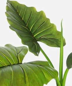 Bizzotto Piante Artificiali>PIANTA DIEFFENBACHIA C-VASO 7FOGLIE H78