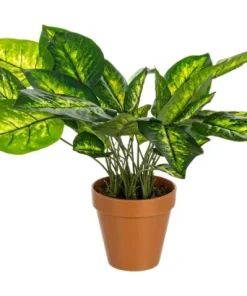 Bizzotto Piante Artificiali>PIANTA DIEFFENBACHIA C-VASO 30FOGLIE H45