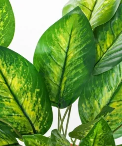 Bizzotto Piante Artificiali>PIANTA DIEFFENBACHIA C-VASO 30FOGLIE H45
