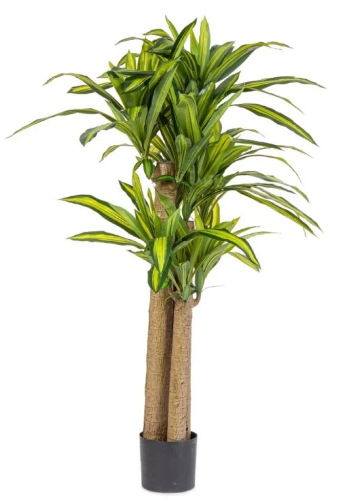 Bizzotto Piante Artificiali>PIANTA DRACAENA C-VASO H150