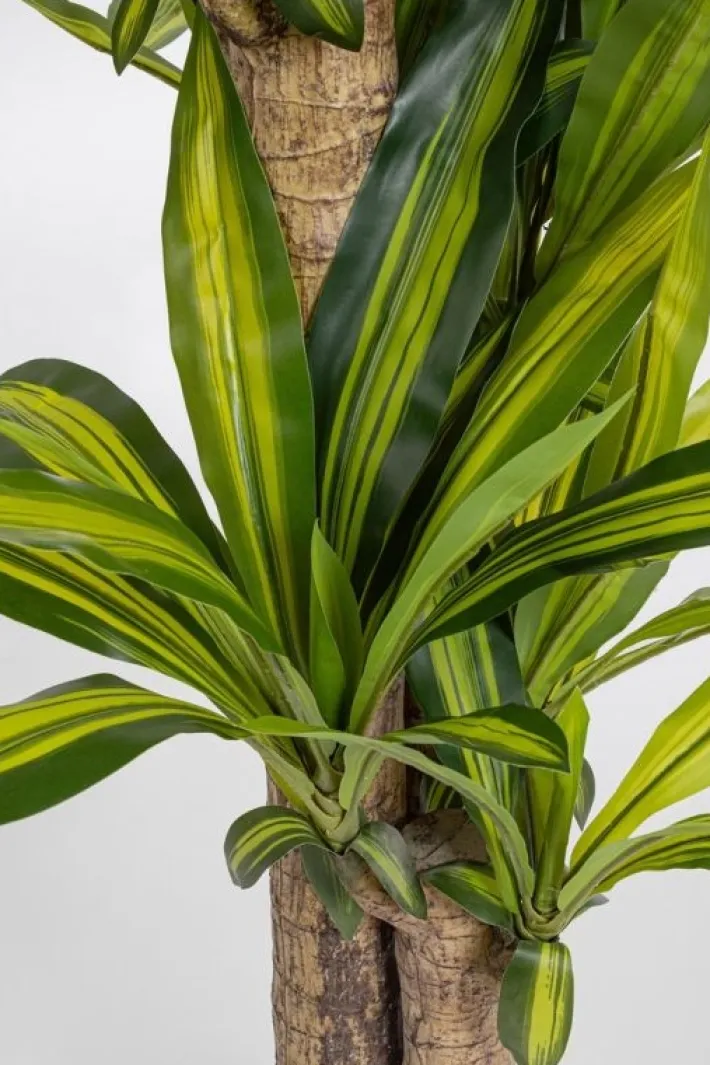 Bizzotto Piante Artificiali>PIANTA DRACAENA C-VASO H130