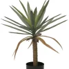 Bizzotto Piante Artificiali>PIANTA DRACAENA C-VASO H62