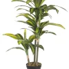Bizzotto Piante Artificiali>PIANTA DRACANEA C-VASO 43FOGLIE H88CM
