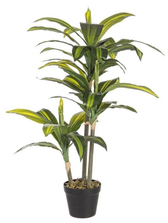 Bizzotto Piante Artificiali>PIANTA DRACANEA C-VASO 43FOGLIE H88CM
