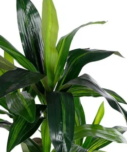 Bizzotto Piante Artificiali>PIANTA DRACANEA C-VASO 65FOGLIE H110