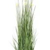 Bizzotto Piante Artificiali>PIANTA ERIOPHORUM BIANC C-VASO X10F H110
