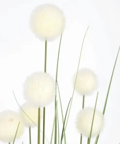 Bizzotto Piante Artificiali>PIANTA ERIOPHORUM BIANC C-VASO X10F H110