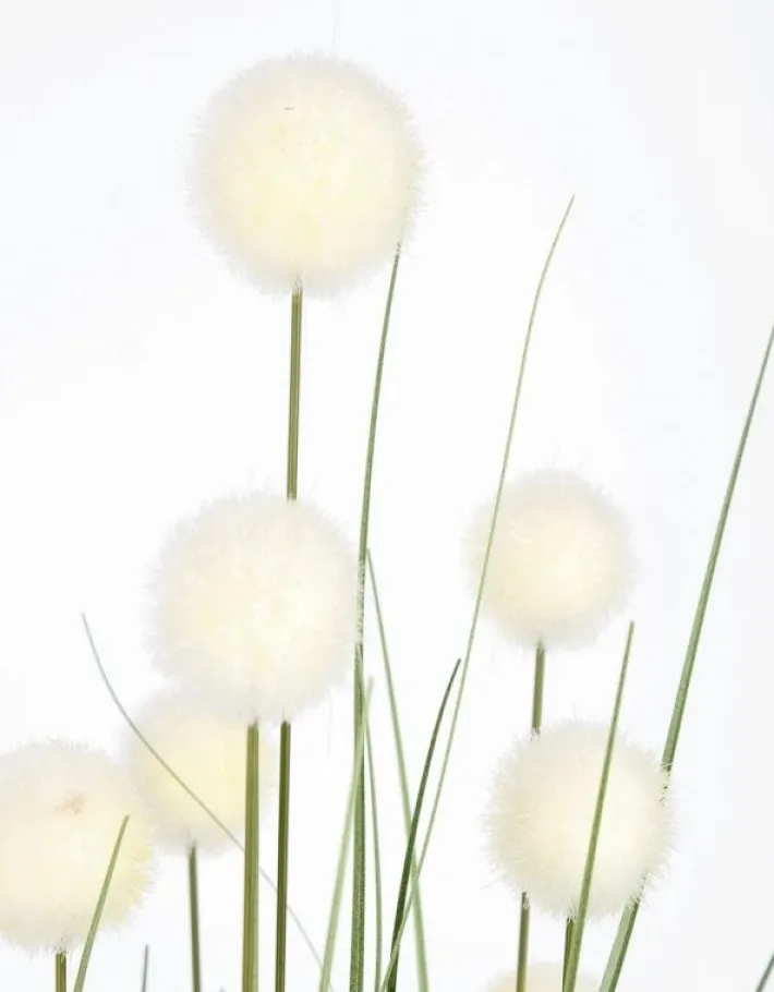 Bizzotto Piante Artificiali>PIANTA ERIOPHORUM BIANC C-VASO X10F H110