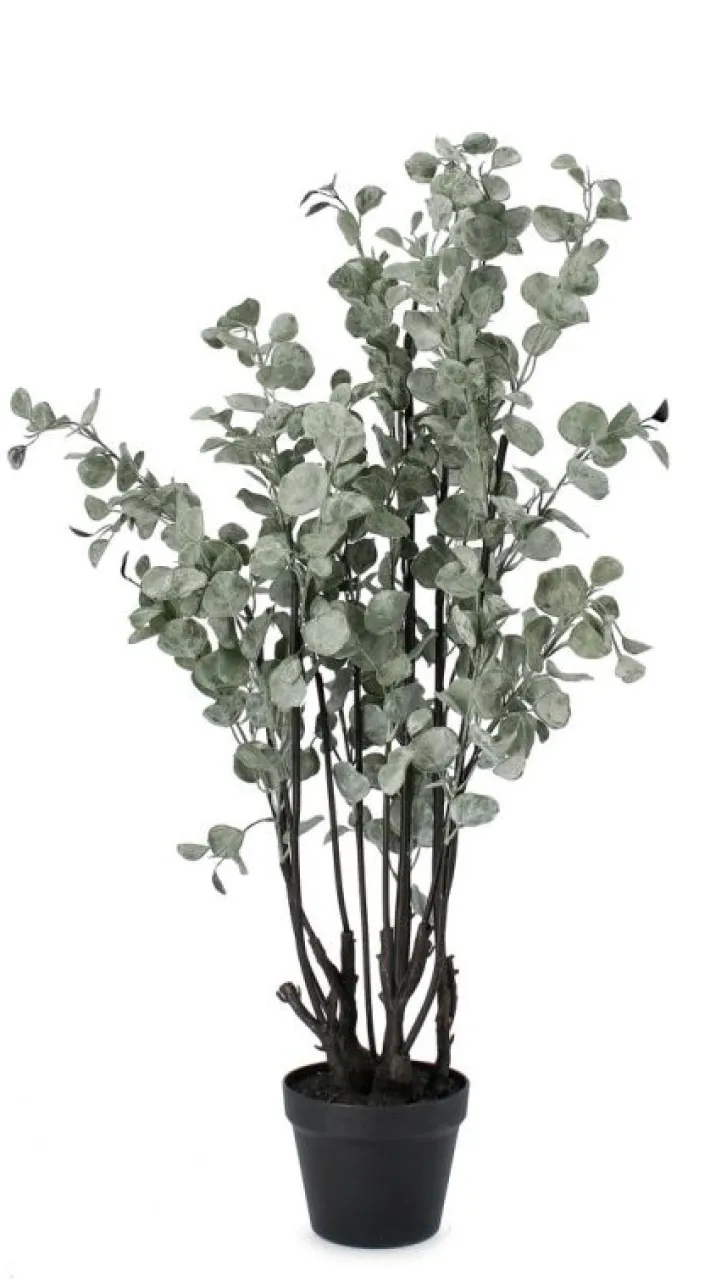 Bizzotto Piante Artificiali>PIANTA EUCALIPTO C-VASO H110