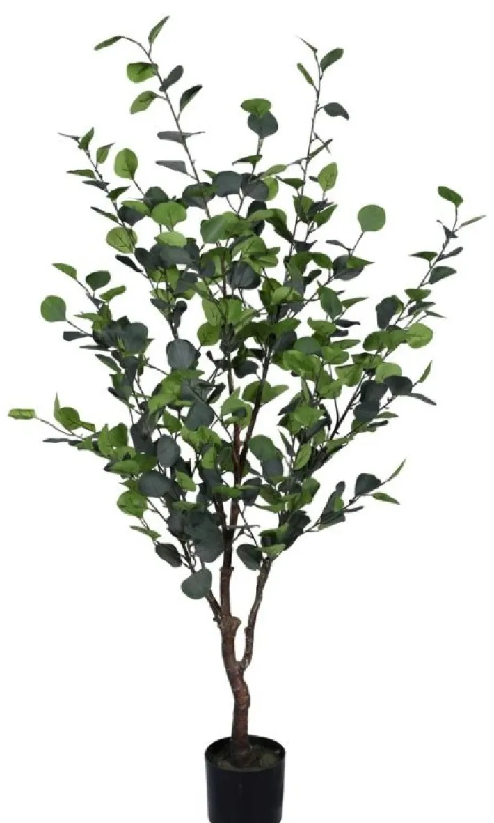 Bizzotto Piante Artificiali>PIANTA EUCALIPTO C-VASO H150