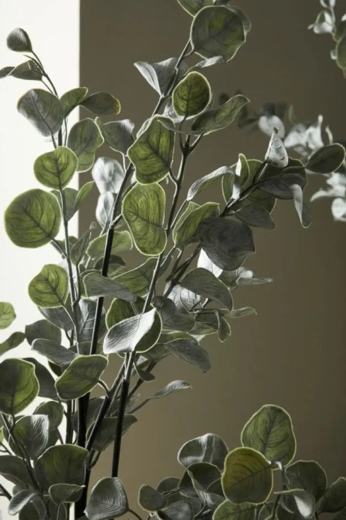 Bizzotto Piante Artificiali>PIANTA EUCALIPTO C-VASO H82