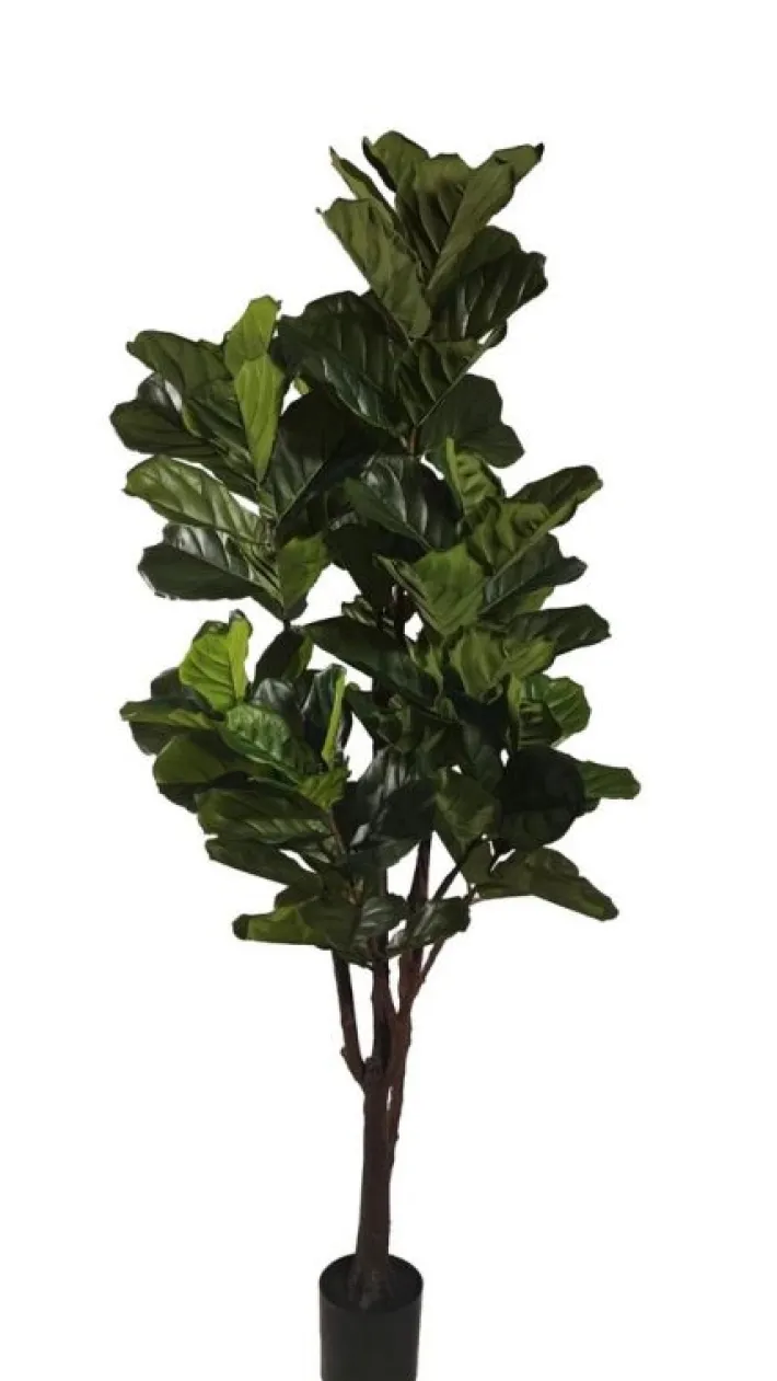 Bizzotto Piante Artificiali>PIANTA FICUS LYRATA C-VAS 102FOGLIE H220