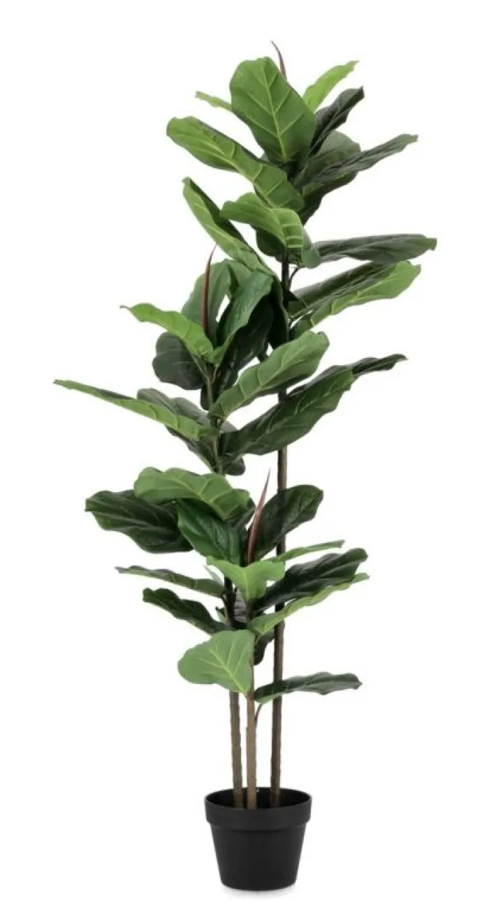Bizzotto Piante Artificiali>PIANTA FICUS LYRATA C-VASO 39FOGLIE H145