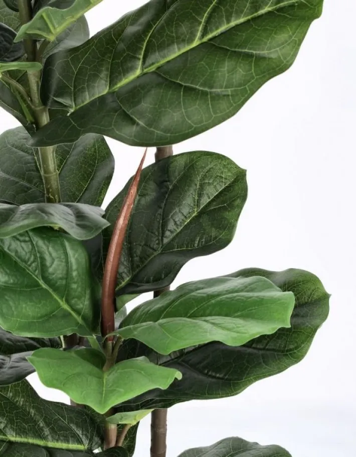 Bizzotto Piante Artificiali>PIANTA FICUS LYRATA C-VASO 39FOGLIE H145