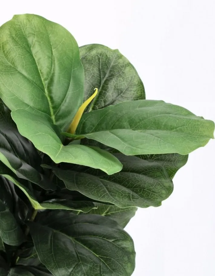 Bizzotto Piante Artificiali>PIANTA FICUS LYRATA C-VASO 72FOGLIE H120