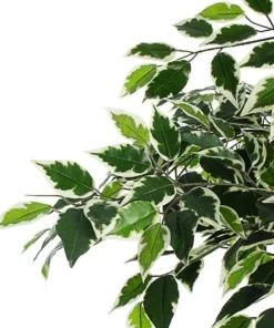 Bizzotto Piante Artificiali>PIANTA FICUS VARIEGATO C-VASO X760F H120