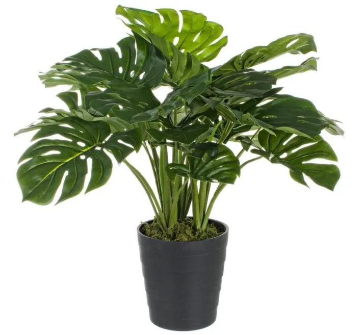 Bizzotto Piante Artificiali>PIANTA FILODENDRO C-VASO 24FOGLIE H65CM
