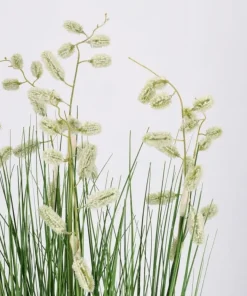 Bizzotto Piante Artificiali>PIANTA GREVILLEA BIANCO C-VASO X5F H100