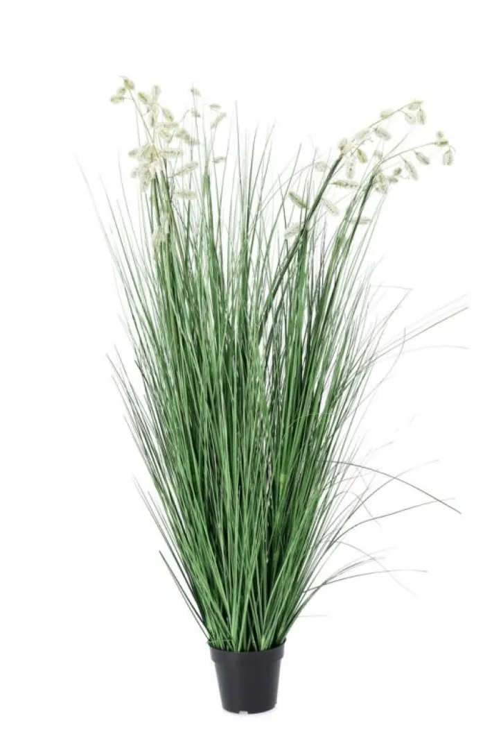 Bizzotto Piante Artificiali>PIANTA GREVILLEA BIANCO C-VASO X9F H150