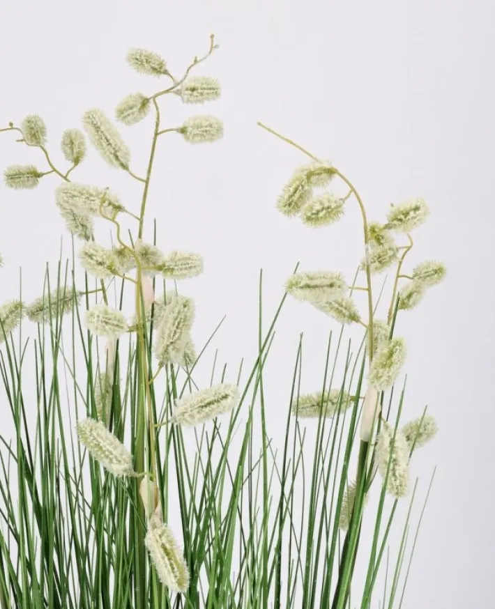 Bizzotto Piante Artificiali>PIANTA GREVILLEA BIANCO C-VASO X7F H120