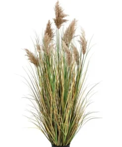 Bizzotto Piante Artificiali>PIANTA GYNERIUM PAMPAS C-VASO H150