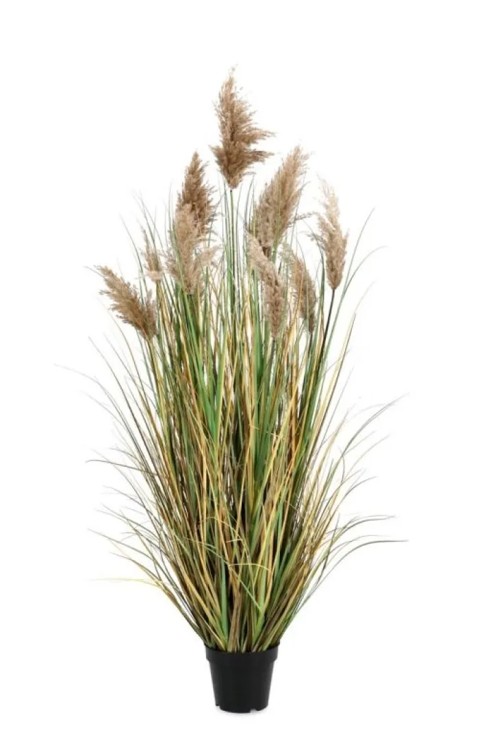 Bizzotto Piante Artificiali>PIANTA GYNERIUM PAMPAS C-VASO H150