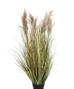 Bizzotto Piante Artificiali>PIANTA GYNERIUM PAMPAS C-VASO H120