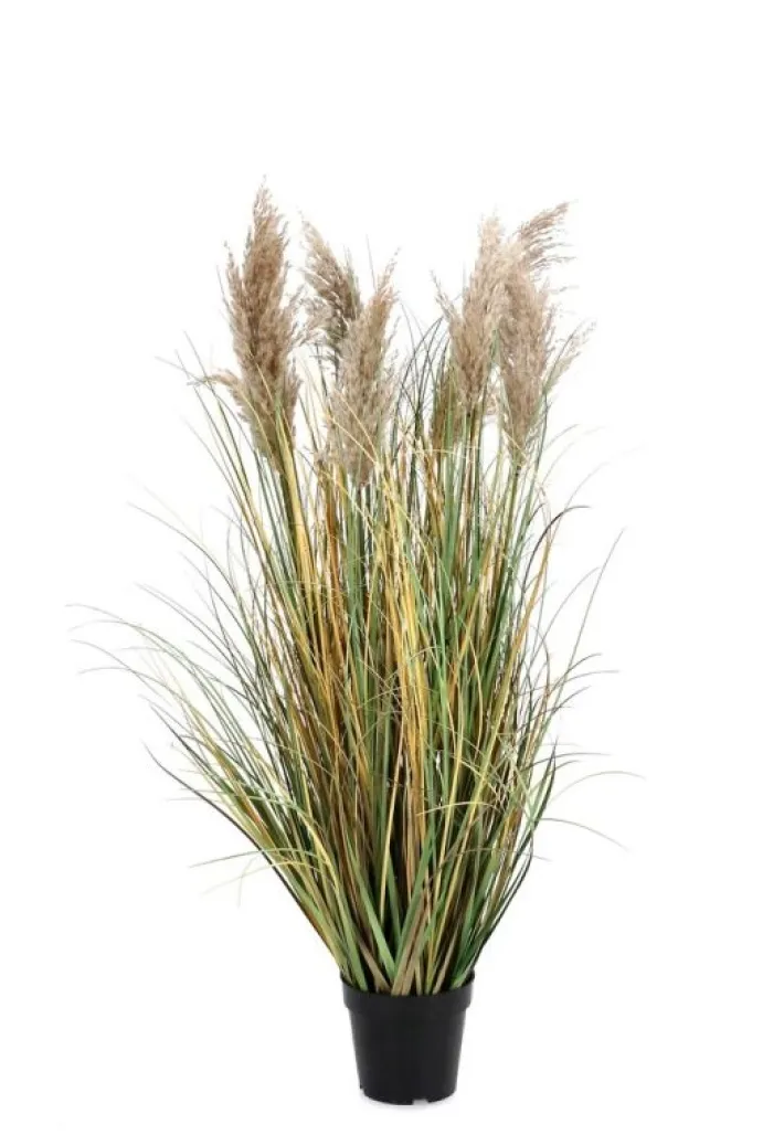 Bizzotto Piante Artificiali>PIANTA GYNERIUM PAMPAS C-VASO H120