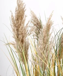 Bizzotto Piante Artificiali>PIANTA GYNERIUM PAMPAS C-VASO H120
