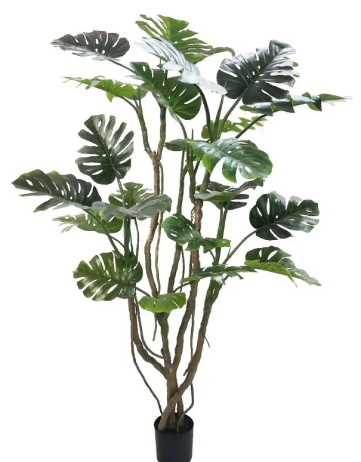 Bizzotto Piante Artificiali>PIANTA MONSTERA C-VASO H210