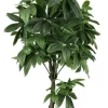Bizzotto Piante Artificiali>PIANTA PACHIRA AQUATICA C-VASO 360F H160