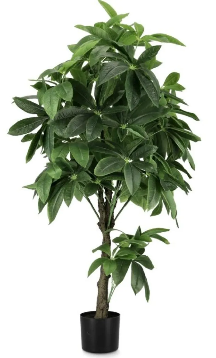 Bizzotto Piante Artificiali>PIANTA PACHIRA AQUATICA C-VASO 360F H160