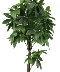 Bizzotto Piante Artificiali><noscript><img width=