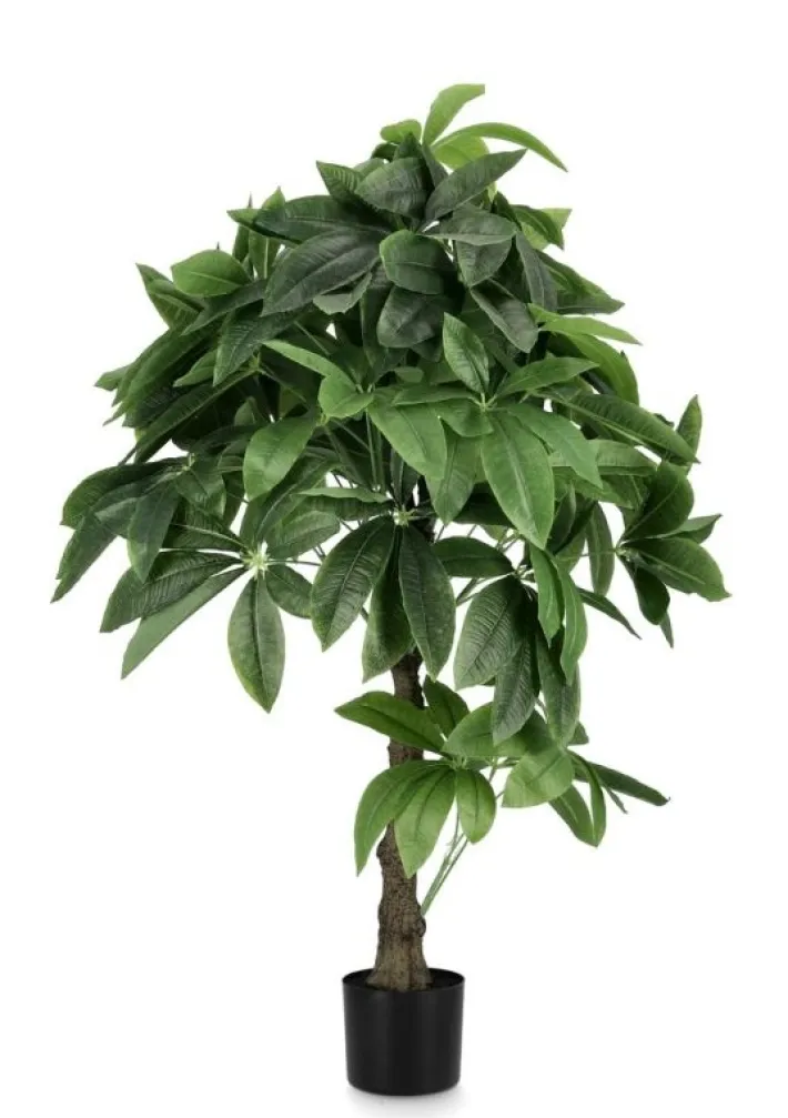 Bizzotto Piante Artificiali>PIANTA PACHIRA AQUATICA C-VASO 280F H120
