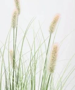 Bizzotto Piante Artificiali>PIANTA PENNISETUM C-VASO H90