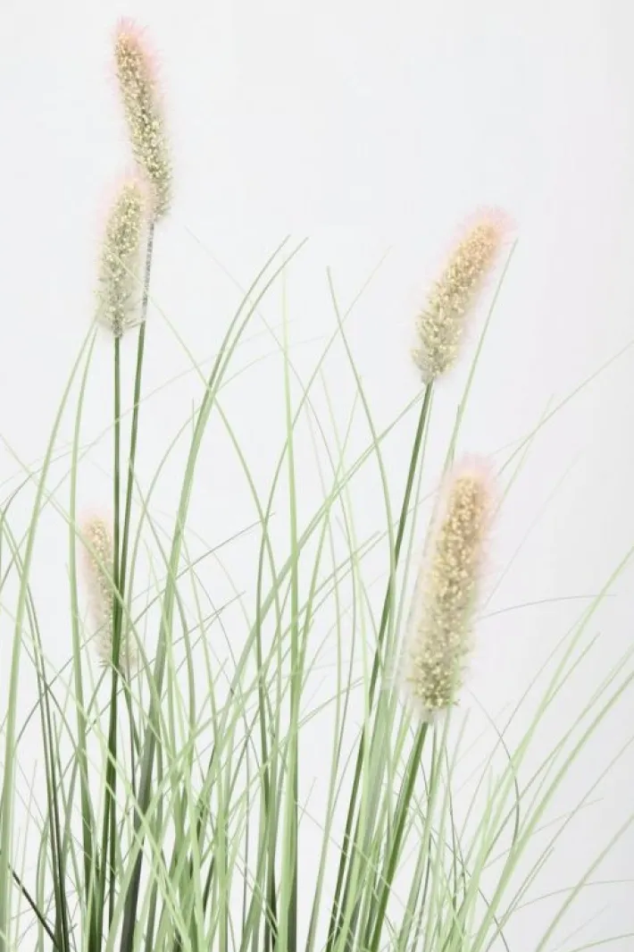 Bizzotto Piante Artificiali>PIANTA PENNISETUM C-VASO H90
