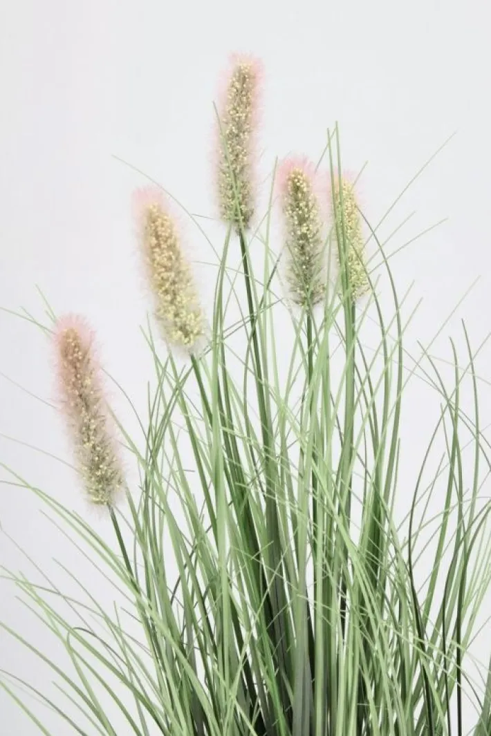Bizzotto Piante Artificiali>PIANTA PENNISETUM C-VASO H61