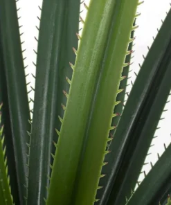 Bizzotto Piante Artificiali>PIANTA RUSCACEAE C-VASO 28FOGLIE H90CM