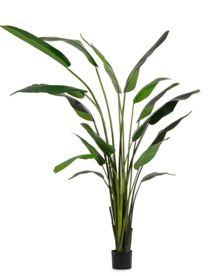 Bizzotto Piante Artificiali>PIANTA STRELITZIA C-VASO 18FOGLIE H310