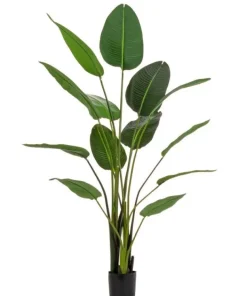 Bizzotto Piante Artificiali>PIANTA STRELITZIA C-VASO 13FOGLIE H185