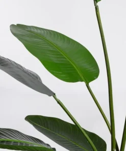 Bizzotto Piante Artificiali>PIANTA STRELITZIA C-VASO 13FOGLIE H185