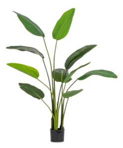 Bizzotto Piante Artificiali>PIANTA STRELITZIA C-VASO 10FOGLIE H150