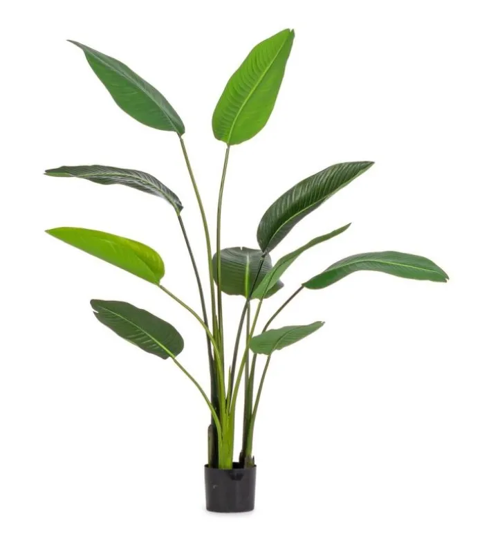 Bizzotto Piante Artificiali>PIANTA STRELITZIA C-VASO 10FOGLIE H150