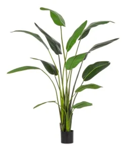 Bizzotto Piante Artificiali>PIANTA STRELITZIA C-VASO 13FOGLIE H235